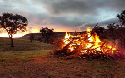 Where Is Your Focus – Cause Or Effect? Part 1: Bushfires