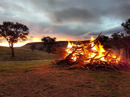 Where Is Your Focus – Cause Or Effect? Part 1: Bushfires